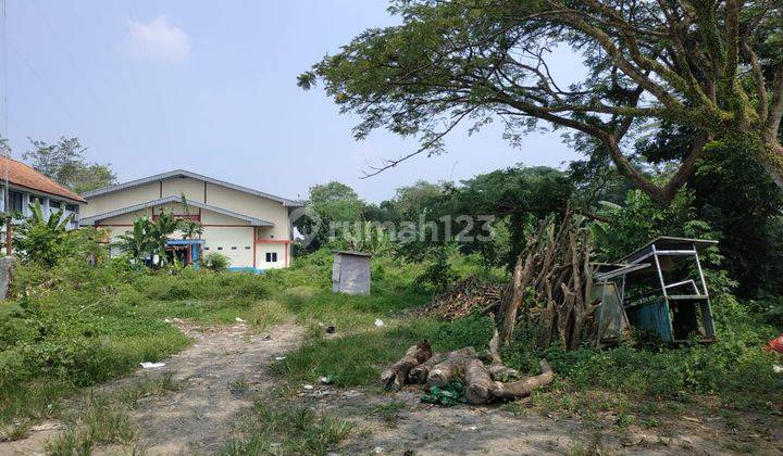 Ruang Usaha di Rangkasbitung Depan Kantor Bupati Lebak 4
