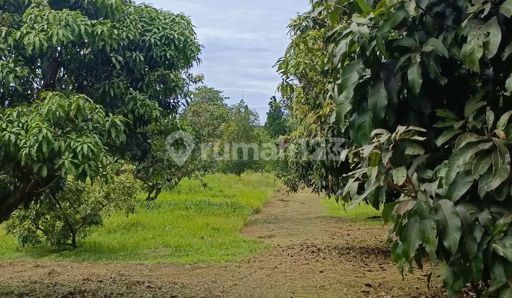 Dijual Kavling Jl Raya Aria Jaya Santika 3raksa