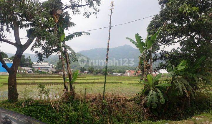 Luas 100 M2 Tanah Bandung Jalan Laswi Cocok Bangun Ruko SHM 1