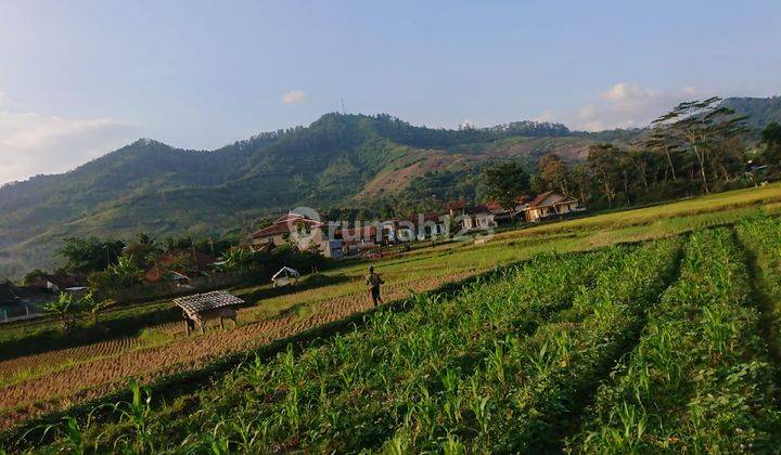 Tanah Luas 70 M2 SHM Cocok Hunian Dekat Stasiun Nagreg 3