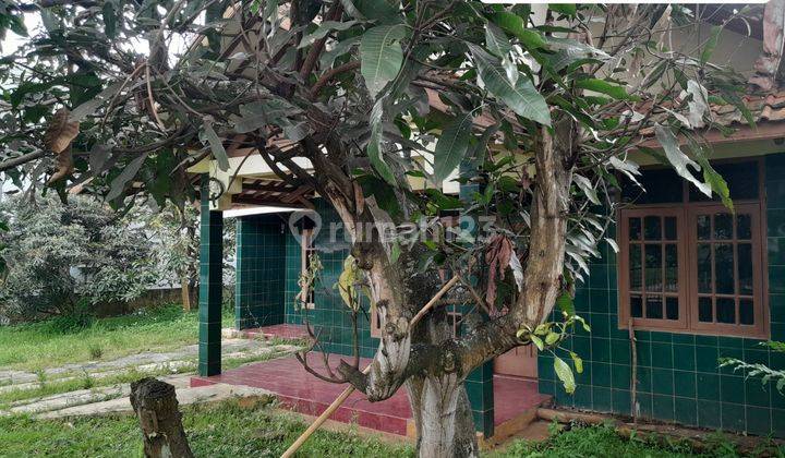 Dekat Area Kampus Rumah Cocok Usaha Kostan Dan Minimarket 10