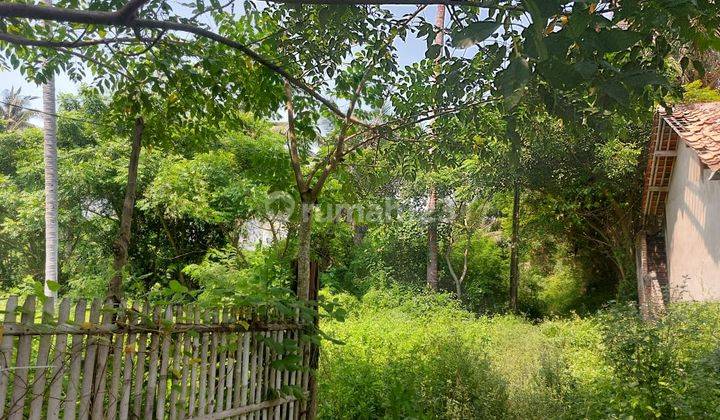 Dijual Cepat Tanah di Tanjung Kait,tanjung Anom Mauk Tangerang 1