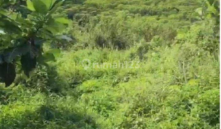 Dijual Tanah Di Sentul Bogor Cocok Hunian 2