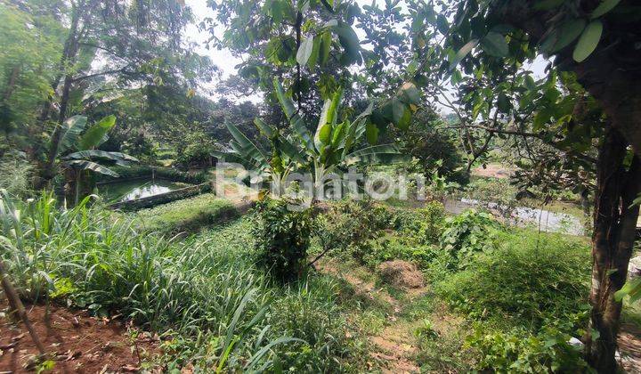 LAHAN LUAS DI KEMANG BOGOR 100 METER KE JALAN RAYA 2