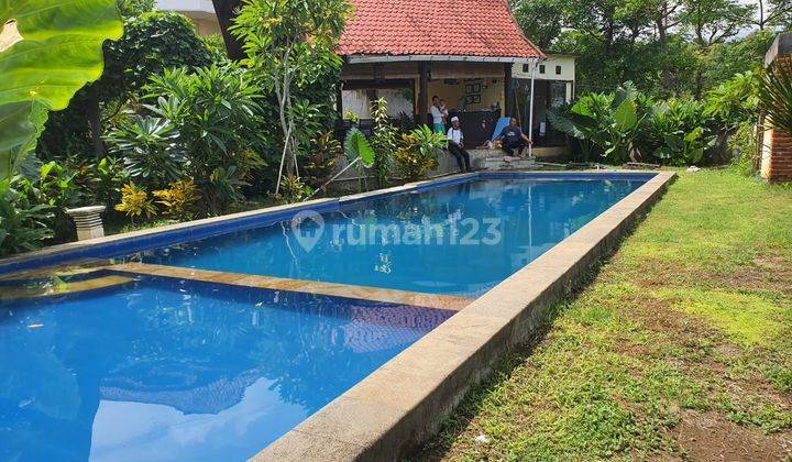 Nice Loniva Villa for sale in Singaraja, Bali Island  1