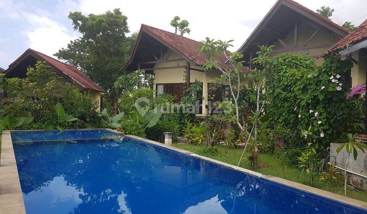 Nice Loniva Villa for sale in Singaraja, Bali Island  2