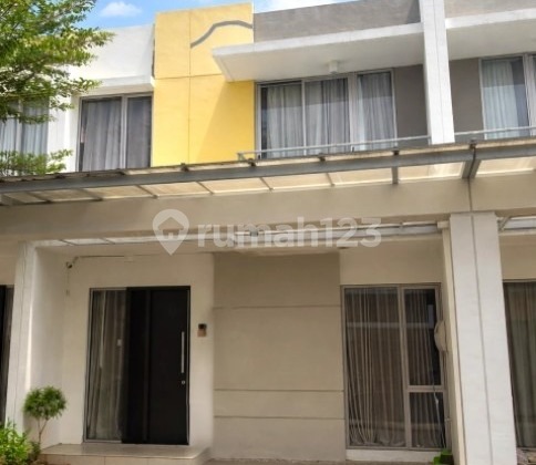 North Magenta House Pik 2 6X10 Fully Furnished Luxury Full Vinyl