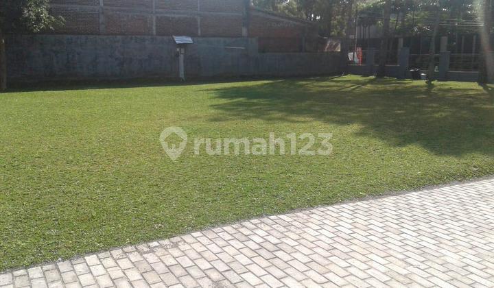 For Salekavling Sariwangilt 900lm 29sible5500wtshm2 Sertifikat