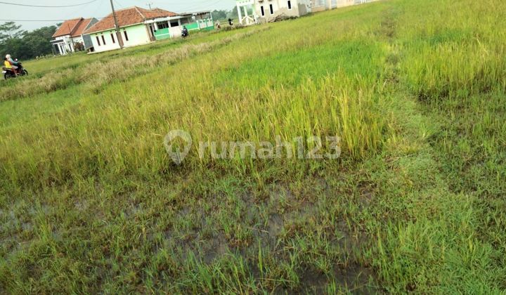 Dijual Tanah 40 tumbak di jalan warung awi bongas cililin bandung barat