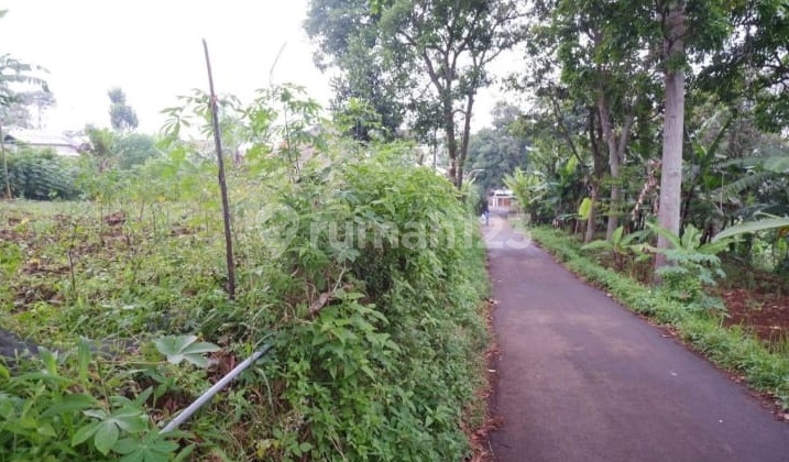 Dijual Tanah kebun 30 tumbak di pakuhaji cipageran cimahi utara Dijual Tanah kebun 30 tumbak di pakuhaji cipageran cimahi utara