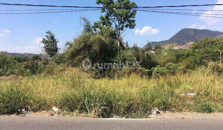 Tanah Murah Di Jl Cikuda, Jatinangor, Bandung, Dekat Apartement Taman Melati, Unpad, Itb 2