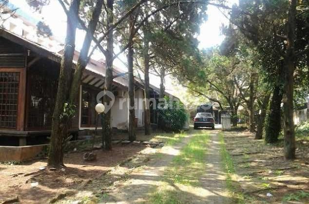 Rumah Bagus Halaman Luas Hadap Timur, Lebar Muka 18, Dekat Itb,Unikom, Unpar,Unpas, Tahura, di Dago, Tubagus Ismail, Cigadung, Bandung Utara, Bandung Kota