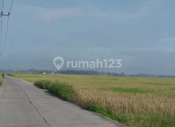 Jual Tanah Di Citereup Bogor