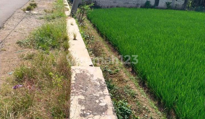 Jual Tanah Daerah Cibogo Subang Jawa Barat Cocok Utk Perumahan Dll