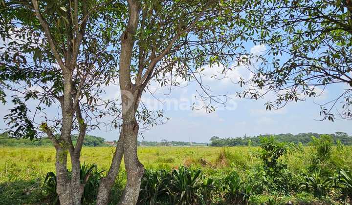 Cheap Land for Sale in Cikande Area, Serang Banten Cheap Land for Sale in Cikande Area, Serang Banten