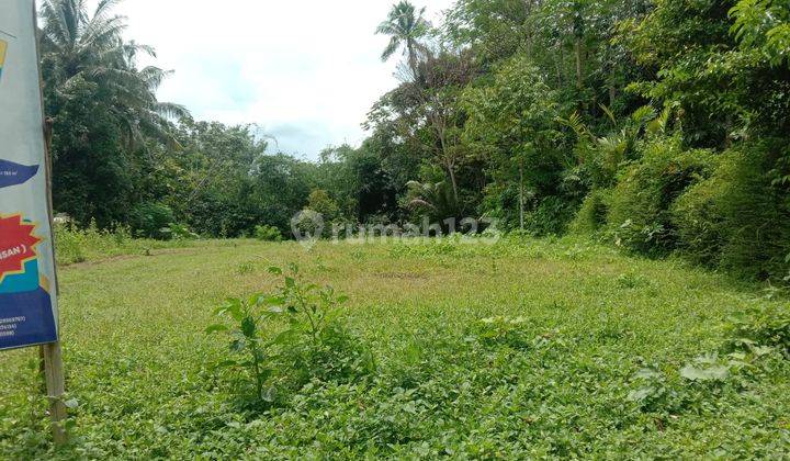 Tanah Kavling Murah Di Magelang, Cocok Untuk Dibangun Rumah 4
