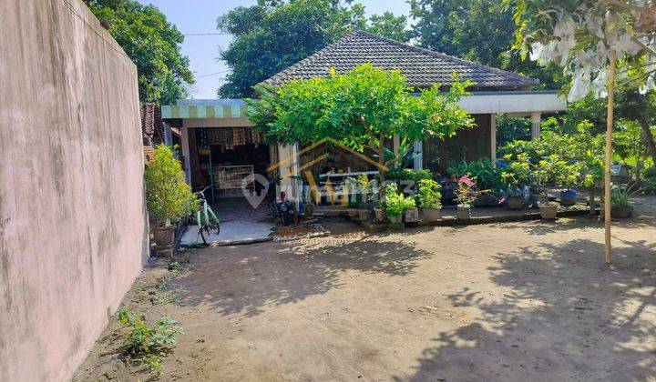 Dijual Rumah Halaman Luas Di Prambanan 1