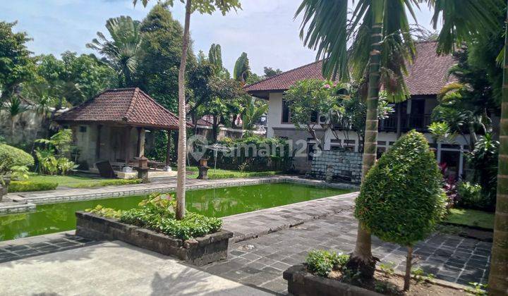 Rumah Besar Luas Private Pool Di Tengah Kota Denpasar Bali 2