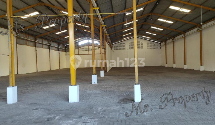 Gudang Strategis Kompleks Gudang Suri Mulia Surabaya Msp0063