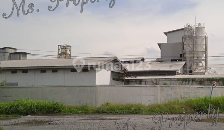 Gudang Strategis Bawah Harga Pasar Romokalisari Surabaya MSP0037 Gudang Strategis Bawah Harga Pasar Romokalisari Surabaya MSP0037