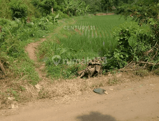 Dijual Kavling Siap Pakai Di Tigaraksa DM7621 2