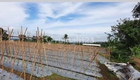 Dijual Kavling Luas Di Purwakarta Cocok Untuk Usaha UT11584