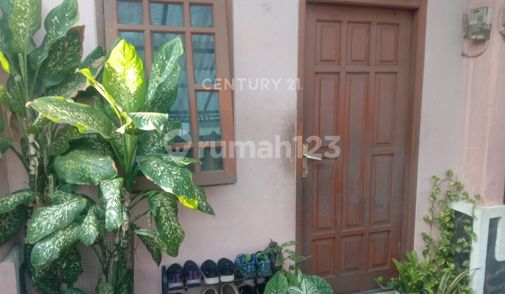 Rumah Usaha Kontrakan 3 Pintu Di Pinang Tangerang JS17026 Rumah Usaha Kontrakan 3 Pintu Di Pinang Tangerang JS17026
