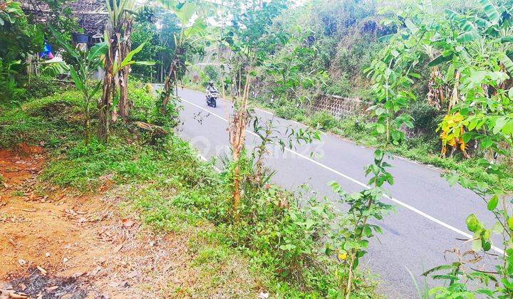 TANAH PEKARANGAN MANGKU JALAN NASIONAL PATHUK WONOSARI GUNUNGKIDUL 1