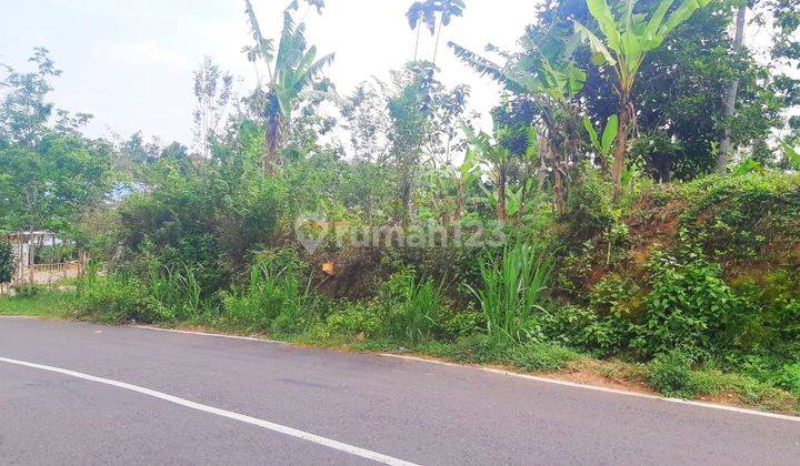 DIJUAL TANAH PEKARANGAN JALAN NASIONAL PATHUK WONOSARI GUNUNGKIDUL DIY 1