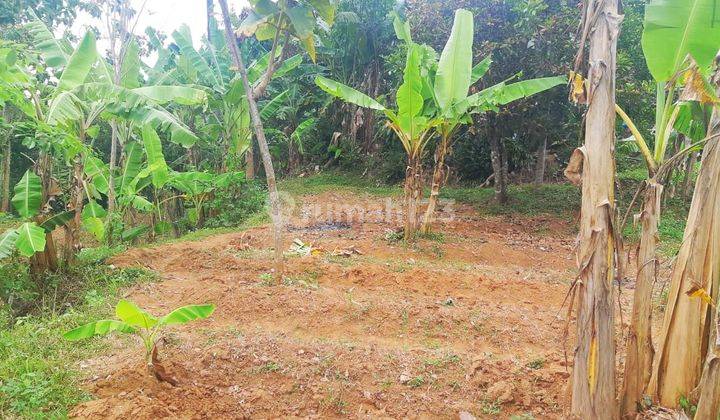 DIJUAL TANAH PEKARANGAN JALAN NASIONAL PATHUK WONOSARI GUNUNGKIDUL DIY