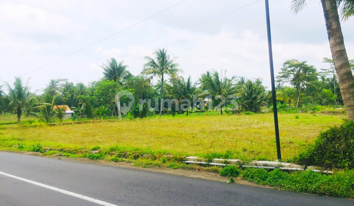 DIJUAL TANAH PEKARANGAN DI PAKEM KALIURANG SLEMAN DEKAT KOPI KLOTHOK  3