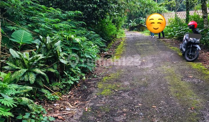 DIJUAL TANAH PEKARANGAN DI HARGOBINANGUN PAKEM SLEMAN DEKAT KOPI MBAH PETRUK 1