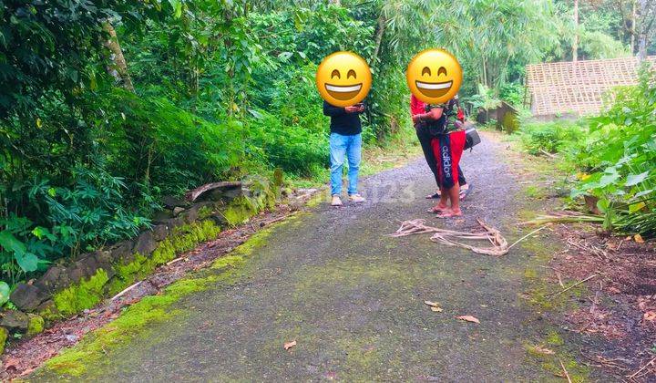 DIJUAL TANAH PEKARANGAN DI HARGOBINANGUN PAKEM SLEMAN DEKAT KOPI MBAH PETRUK 3