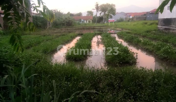 Tanah Murah Cocok Untuk Perumahan Dekat Soekarno Hatta 5