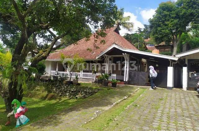 Rumah lama murah dan Terawat di Dago cocok untuk rumah hunian Rumah lama murah dan Terawat di Dago cocok untuk rumah hunian