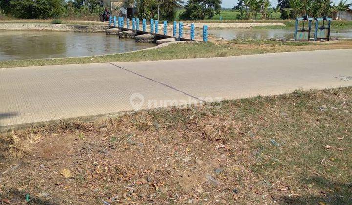 Tanah Murah Dijual Cepat Di Subang Dekat Pelabuhan Internasional  1