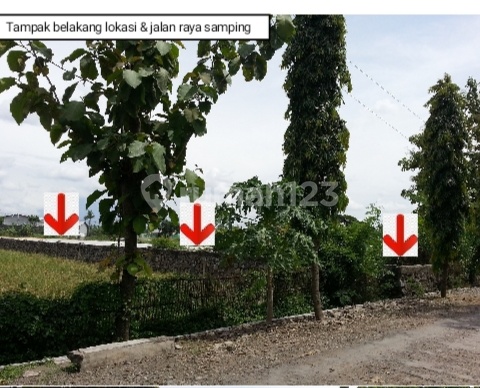 Tanah Jalan Raya Solo Sragen  5