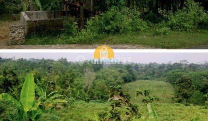 Tanah Murah Meriah Jalan Raya Karangpandan, Sragen