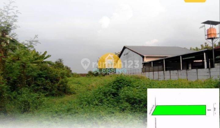 Tanah di Jalan Montong Sari, Kendal SHM 3.855 m² 1