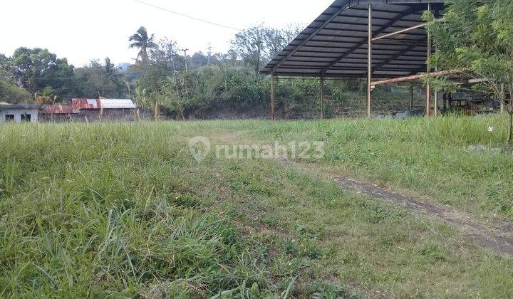 Tanah persemaian di jalan raya banjar wonosobo 5