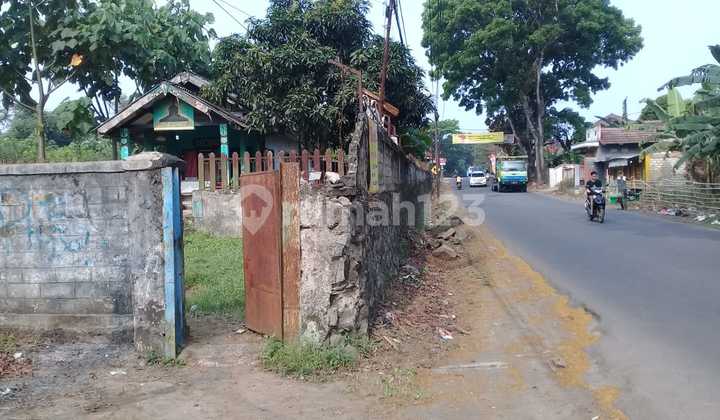 Tanah persemaian di jalan raya banjar wonosobo 7
