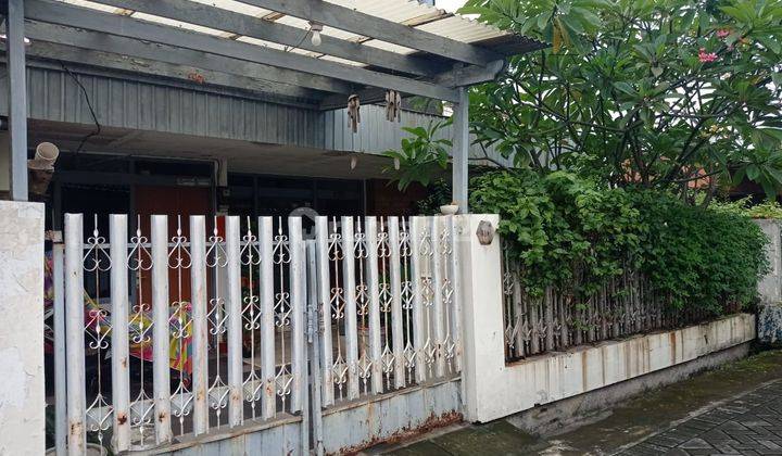 Row Jalan 2 Mobil Rumah Standard Darmo Permai Utara Vi  1