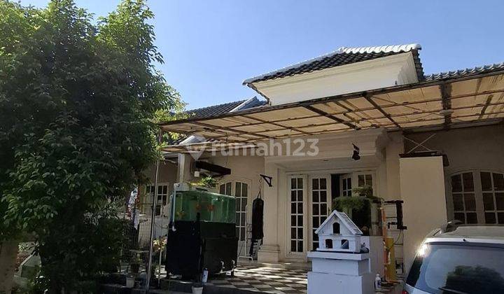 Murah Rumah Full Bangunan di Palma Classica Citraland 1