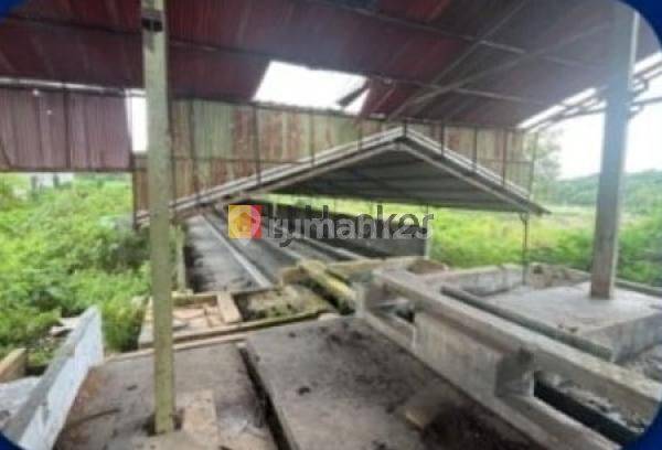 Gudang Ex Pabrik di Tulang Bawang Lampung , Cocok Untuk Usaha Kelapa Sawit  2