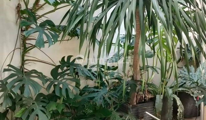 Rumah bagus siap huni disewakan furnish 2