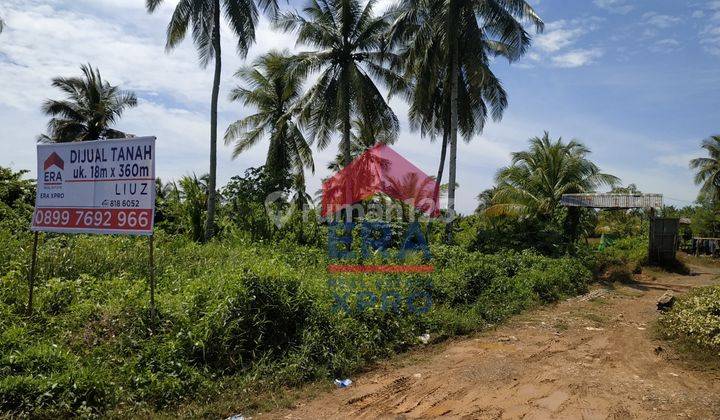 Tanah Dijual Tepi Jalan Sungai Nipah, Siantan, Mempawah, Pontianak 1