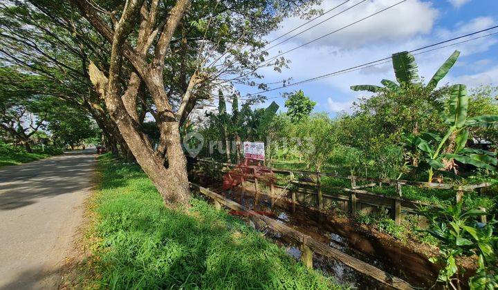 Dijual Tanah +1,7 Ha di Jalan Purnama 2 samping Grand Purnama Resd. , Pontianak Selatan 3
