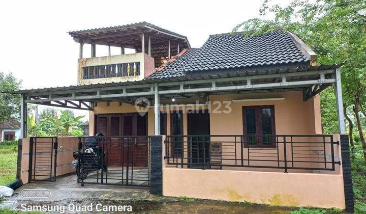 Dikontrakan Rumah Murah View Sawah Dekat Kota Jogja 