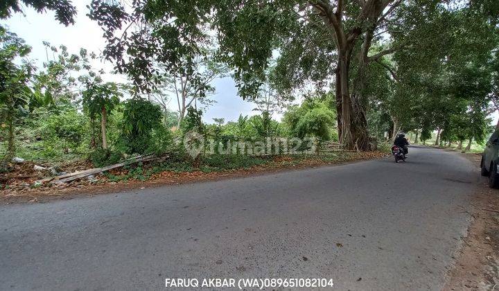 Jual Tanah Murah mangku jln utama bisa untuk usaha di Jln.imogiri timur Tamanan dekat Giwangan  1