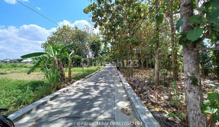 Dijual Tanah Pekarangan Murah Siap Bangun Dan Siap Kavling Mangku Jalan 2